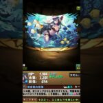 【パズドラ】夏休みイベ個人的に欲しい新キャラ3選#パズドラ