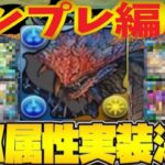 【ぶっ壊れ】300億出す周回キャラ爆誕！ネロミェールのテンプレ候補がヤバすぎる【パズドラ】