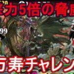 攻撃力5倍の脅威！新万寿チャレンジを攻略【パズドラ】