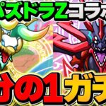 【神引き】8000円2択ガチャ！パズドラZコラボSGFコンプまで引いてみた！【パズドラ】