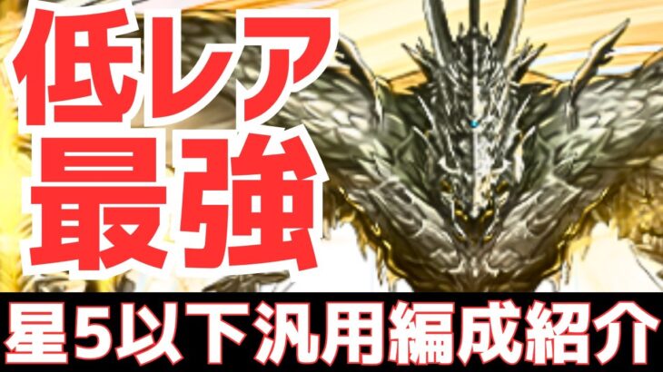 【パズドラ】8月チャレダン13を攻略！今後の星5以下縛りもこれで解決！ディオン×ウォーリア汎用編成紹介！