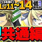 8月クエストLV11,LV12,LV14をアンジェリーナ共通編成で攻略！アシスト不要&代用解説！魔法石37個ゲット！【パズドラ】