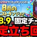 【8月のクエスト】Lv8.9固定チーム！ド安定立ち回り解説！【パズドラ】