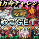 【パズドラ】新万寿チャレンジ！超耐久力！カレン×ユーフェミアで攻略クリア！万寿称号GET！【コードギアスコラボ】