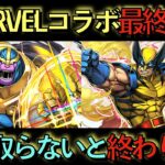 【取れなきゃ後悔】MARVELコラボキャラ最終解説！この３体だけは死んでも逃しちゃダメ！見ないと後悔します！【パズドラ】