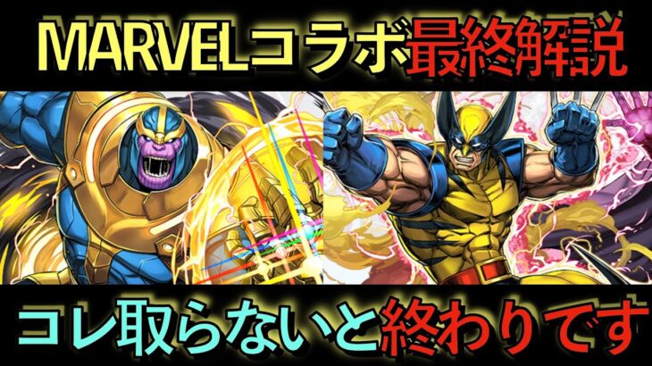 【取れなきゃ後悔】MARVELコラボキャラ最終解説！この３体だけは死んでも逃しちゃダメ！見ないと後悔します！【パズドラ】