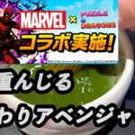 おかわりMARVELコラボガチャでお茶【無課金パズドラ】【しばいぬ丸#317】