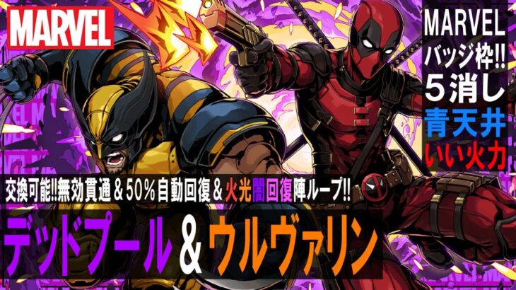 【MARVELコラボ】デッドプール＆ウルヴァリン　交換可能!!バッジ枠!!　無効貫通＆50％自動回復＆火光闇回復陣5-1ループがｲｲ!!　5消し青天井で火力もいいね　でも6×5縛りが辛い【超パズドラ】