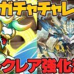 【大事件】ゼルクレアが山Pガチャで強化決定！！環境崩壊ぶっ壊れチート最強確定！！【パズドラ】