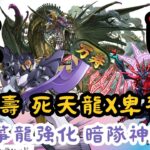 【パズドラ】【PAD】新万壽攻略 死天龍X卑斯麥Loop 夏日箏龍上修入隊 新万寿チャレンジ アークヴェルザ×ビスマルク 夏休のミナカ入