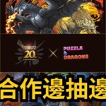 【パズドラ】【PAD】MH合作邊抽邊吹 太多內容未能細睇 先抽後研究係理想做法 モンスターハンターコラボガチャ20連