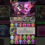 愛猫神VSコードギアス　#パズドラ #バステト #shorts