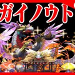 🔴【視聴者参加型】３Yガイノウトを周回しよう【パズドラ雑談配信】 #パズドラ　#雑談　#ラジオ 　#縦型配信