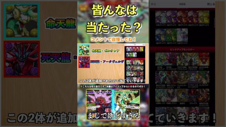 ゼルクレアとアークヴェルザが欲しすぎる。＃パズドラ　＃パズドラZ ＃10周年　＃ゼルクレア　＃アークヴェルザ　#shorts #short  ＃ガチャ