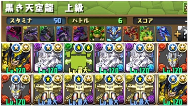 【マルチ周回】パズドラZ、黒き天空龍、上級【ずらしのみ】【3スキップ】【ボス超根性無視】【パズドラ】