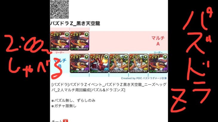 [パズドラ]パズドラZイベント_パズドラZ黒き天空龍_ニーズヘッグパ_2人マルチ周回編成[パズル&ドラゴンズ]