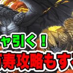 【ガチャ】モンハンコラボガチャ→新万寿で遊ぶ【パズドラ】#パズドラ#shorts#縦型配信