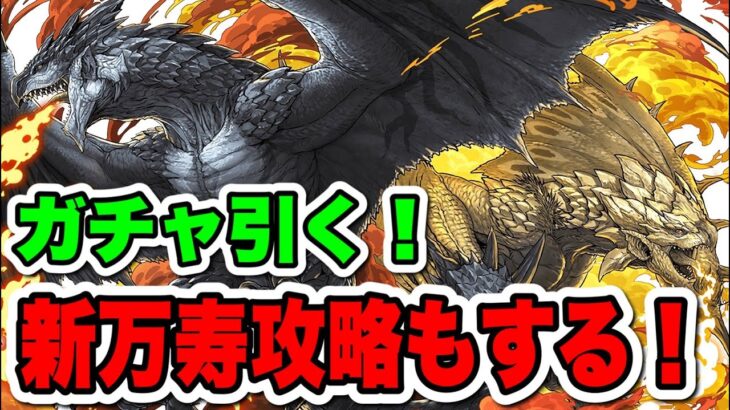 【ガチャ】モンハンコラボガチャ→新万寿で遊ぶ【パズドラ】#パズドラ#shorts#縦型配信