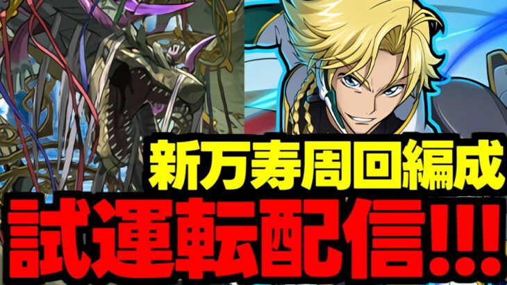 【生放送】新万寿ジノ周回編成試運転配信！【パズドラ】