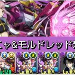 【新百式】アーニャ&モルドレッドが最強&人権すぎる！【パズドラ】【コードギアスコラボ】