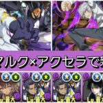 【新千手】ビスマルク×ギャラハッド&アクセラレータループが最強&人権すぎる！【パズドラ】【コードギアスコラボ】