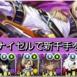 【新千手】シュナイゼル&アヴァロンが最強&人権すぎる！【パズドラ】【コードギアスコラボ】