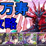 アークヴェルザ×ビスマルクで新万寿攻略【パズドラ】