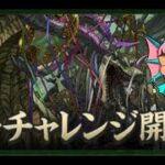 【パズドラ】新万寿を初見で楽々攻略するギョピ