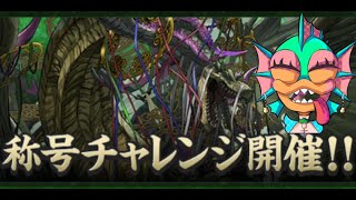 【パズドラ】新万寿を初見で楽々攻略するギョピ