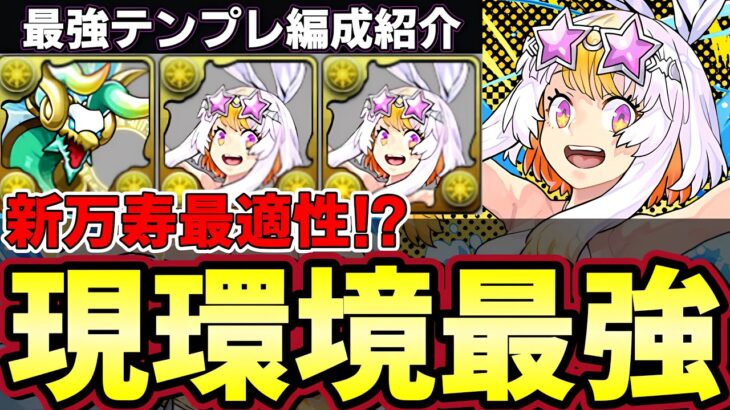 【パズドラ】新環境最強リーダー登場⁉︎夏休みパステルが強すぎる‼︎ゼルクレアと相性抜群‼︎新万寿が楽々勝てる【パズドラ実況】