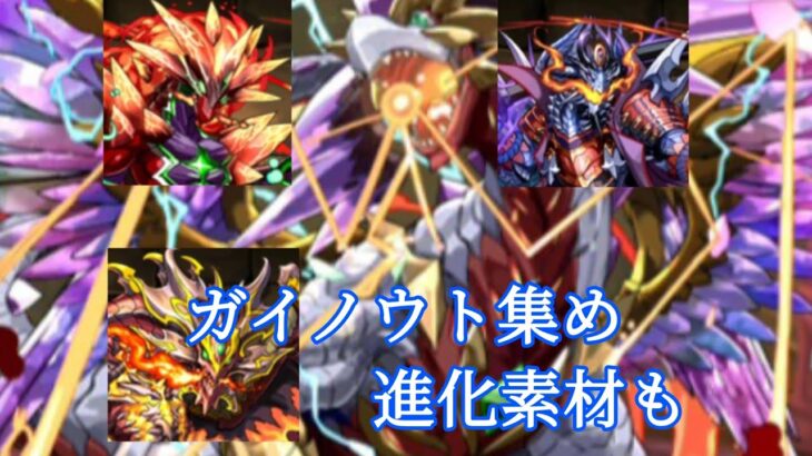 【パズドラ】ガイノウト集めよう