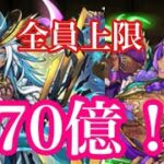 【パズドラ】試練進化したラーと超転生したドゥルガーを合わせて使った結果・・・（新千手）