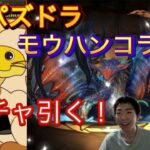 【パズドラ】モンスターハンターコラボガチャ引く！/ヤメ〜こまる