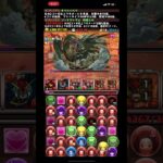 紙一重の決戦　新万寿【パズドラ】