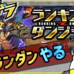 【 #パズドラ 】知識0から始めるランキングダンジョン #縦型配信