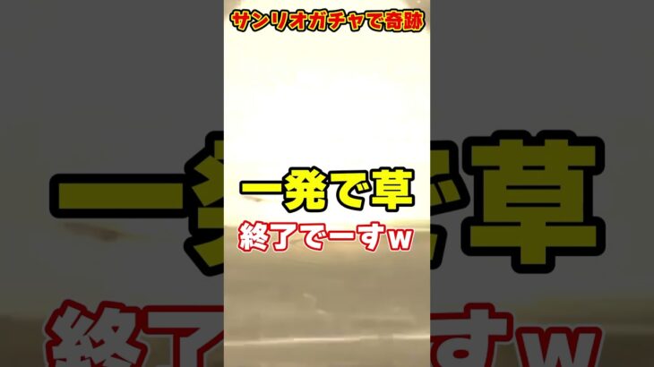 【パズドラ】サクヤシナモン1点狙いで奇跡がｗｗサンリオコラボガチャの結果がヤバすぎる!! #shorts #パズドラ #ドラゴン縛り【ゆっくり実況】