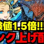 【生放送】経験値1.5倍イベ!ランク上げ周回雑談配信!!!【パズドラ】