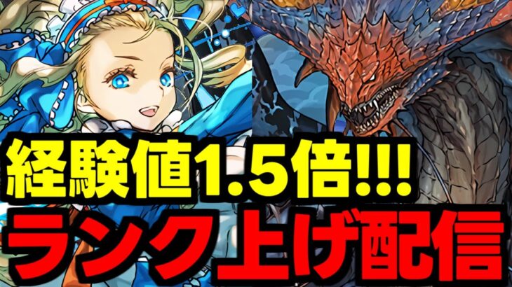 【生放送】経験値1.5倍イベ!ランク上げ周回雑談配信!!!【パズドラ】