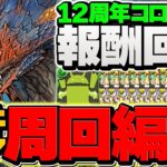 魔法石10個ゲット！12周年コロシアム3分台周回編成！条件クリア対応！【パズドラ】