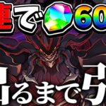 今話題の魔法石12個ガチャ！新キャラ出るまで引いたらヤバすぎた【パズドラ】