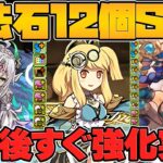 【魔法石12個】12周年記念SGF開催！サレーネ強化が本日この後実装決定！既存キャラ強化解説！【パズドラ】