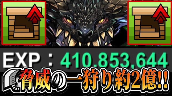 【ランク上げ革命】爆速ズラしで実質1周4億経験値はヤバすぎる【パズドラ】