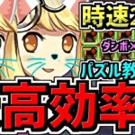 【最高効率】時速15~20億！パズル教室なし！ダンボ12個サレサレ裏修羅ねこ！ランク上げ編成！代用・立ち回り解説！両サレ裏修羅【パズドラ】