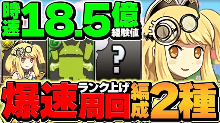 時速18.5億！星夜の花園で超高速ソロランク上げ！ランク1200で魔法石をゲットしよう！！【パズドラ】