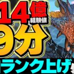 ソロ最強ランク上げ！1周9分で3.1億経験値！ネロミェールで裏機構城を周回しよう！【パズドラ】