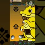 【パズドラ】1分で分かるぽかぽかアイルDXガチャ45連#shorts #モンハン #パズドラ