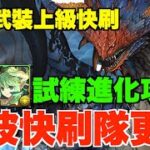 【溟波龍新隊】超易砌部位素材快刷隊2.0!! 試練宙斯+豐收神課題攻略、一隊打通上級任務Lv6-10、全獵人裝素材無腦爽刷【パズドラPAD】