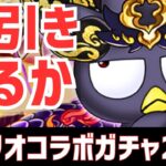 【パズドラ】どのガチャを引くべきか結論でました。サンリオコラボガチャ20連引いてみた！