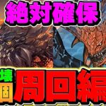 【2日間限定】出現率1.5倍イベ！部位破壊9個で高速周回！モンスターハンター重要調査クエスト【パズドラ】