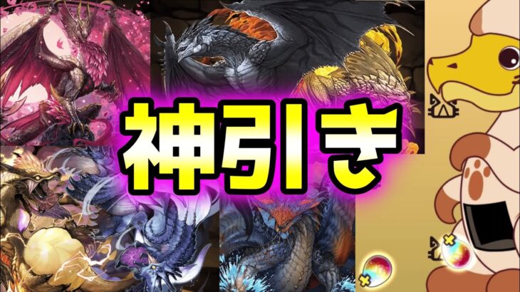 【パズドラ】魔法石2,340個使ってモンハンコラボガチャをコンプリートしようとしたらまさかの結果に…！